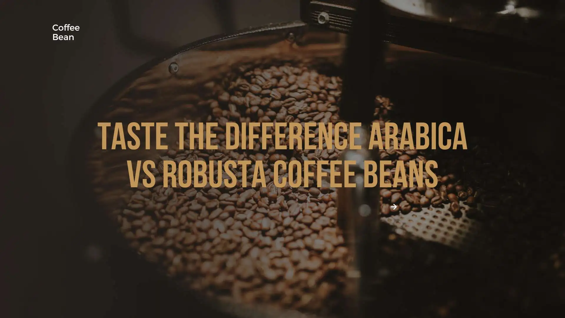 Taste the Difference Arabica vs Robusta Coffee Beans