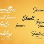 Modern Script Fonts