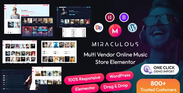 Miraculous wordpress Theme Free Download